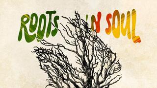 ZonaSun Roots 'n' Soul